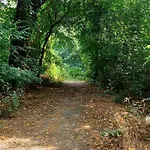 Kicsi Rigo Nyaralohaz Holiday home