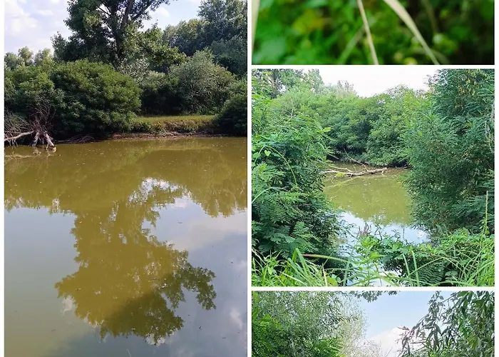 Dom wakacyjny Kicsi Rigo Nyaralohaz Lakitelek